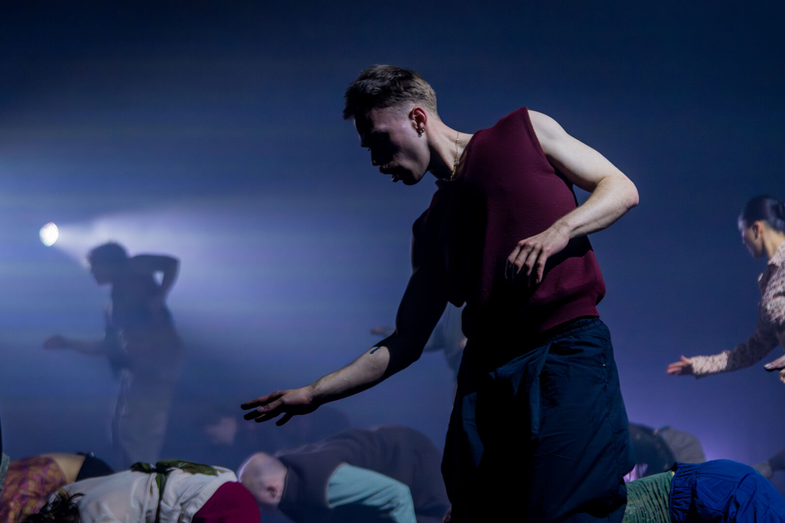 Landelijke DOX Club Audities